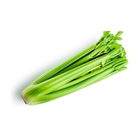 Celery Sticks UAE