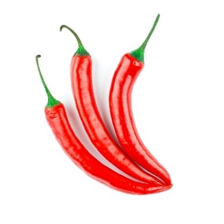 Chilli Red Long Holland