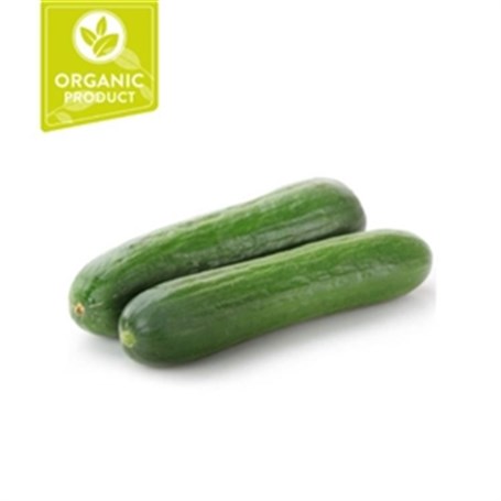 Cucumber Organic 500gr