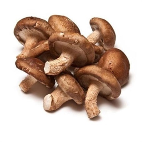 Mushroom China Pack