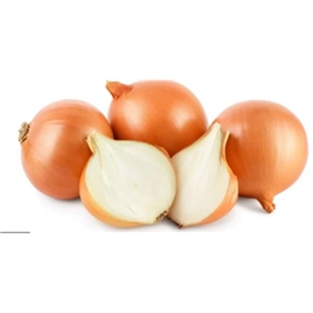 Onion White Lebanon 