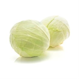 Cabbage UAE