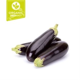 Eggplant Organic