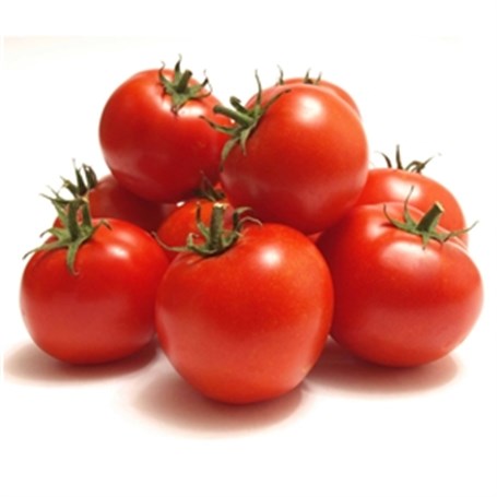 Tomato Malaysia